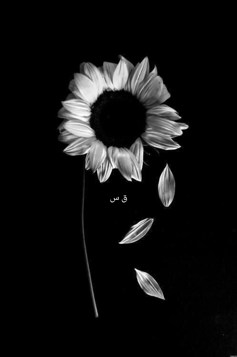 Qaaaaf786's tweet photo. ”صبر“ دل کی عبادت اور نفس کی مشقت ہے ۔۔ https://t.co/ocPshlolSc