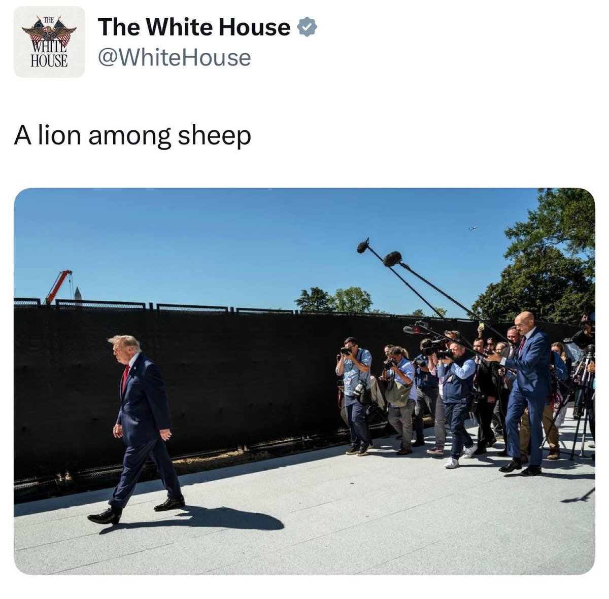 TinaZimmermann4's tweet photo. A lion among sheep=154

God Is With Us= 154
Its About Time = 154
Be Ready Stay Calm= 154
Plot Twist= 154

🇺🇸WhiteHouse https://t.co/OxQSYxyq4L