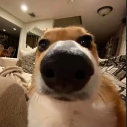 obiwandin's tweet photo. estou precisando de um fone de ouvido com fio que seja realmente bom e durável será que existe? 😭 https://t.co/2guMaRfFaO