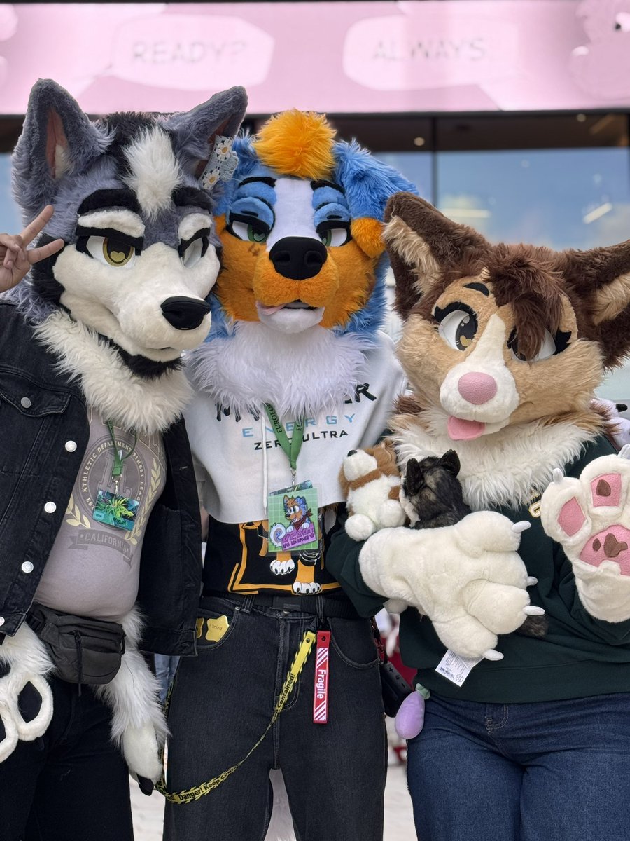 KerhuHusky's tweet photo. So glad I got to meet my awesome suit makers!! 
The amazing @SLemm0n 🥰 https://t.co/zw6pr9QWoG