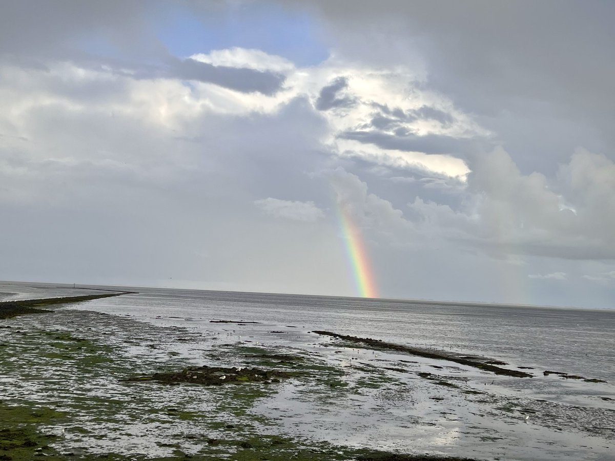 jong_alice's tweet photo. Wad(t) prachtig #wadden #ameland #ballumerbocht https://t.co/CVVhU6EN9p