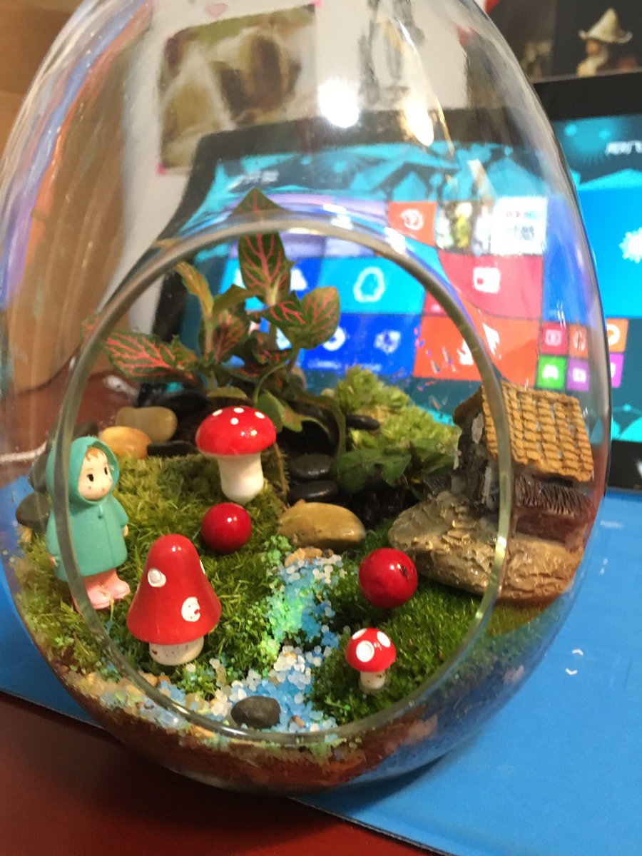 AdilInce's tweet photo. Turn an old glass jar into a cute plant pot with just some paint and soil! Upcycling makes small spaces lovely.， https://t.co/gulQqObS4S