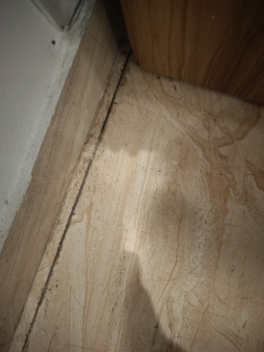 hitman61100's tweet photo. Booked a hotel via @goibibo and got: cockroach infestation (had to call pest control mid-stay), a non-functional AC that was leaking water, filthy bedsheets/blankets/pillows, and an unhygienic washroom+geyser. Unacceptable for the price paid. Need a full refund. @GoibiboSupport https://t.co/Phz1TDbLSI