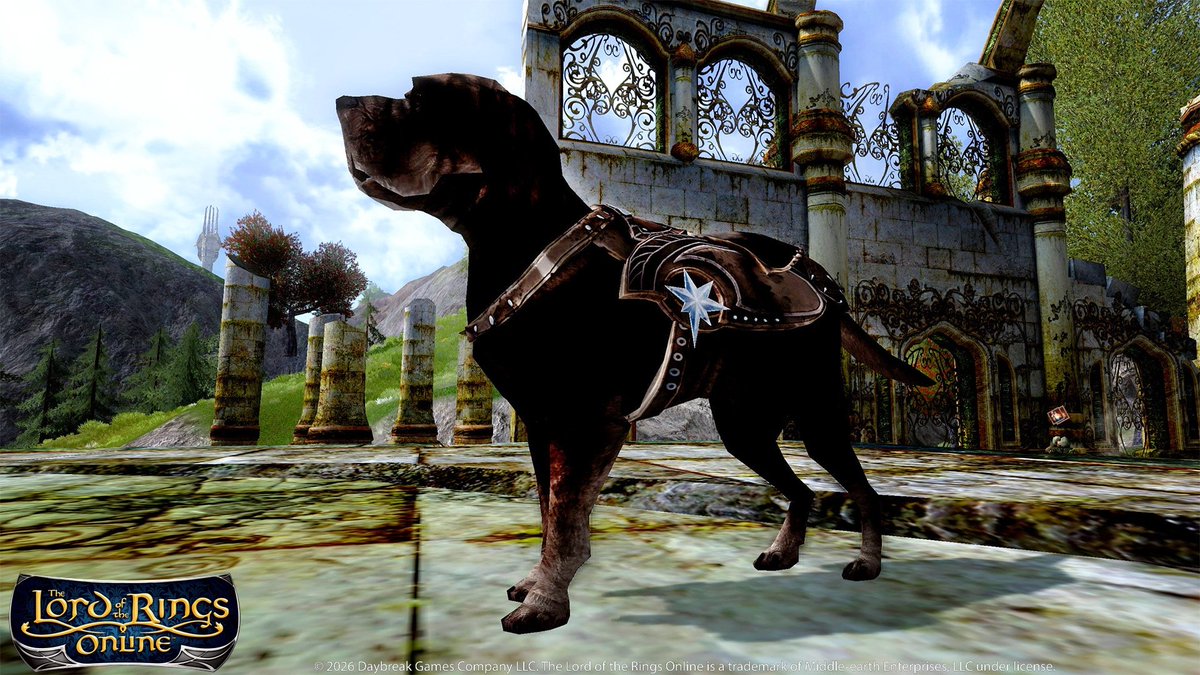 Zojalyx's tweet photo. Tonight on stream we will begin our journey through HARDCORE @lotro as well as using the new Patron's Coffer of the Promised Allies
YOU GET A DOG!!!! YOU GET A HECKING DOG AND HE IS A GOOD BOY!!!
#lotro #LOTROCreator #PromisedAllies https://t.co/w8ALLL5LYu