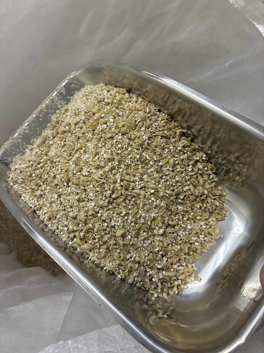 Shared_Brewery's tweet photo. 今週末も通常営業！

今回はビールの品質を左右するミルのローラー幅を調整。適切な挽き目を保つことで、渋みを防ぎクリアな味わいに仕上げます。製造量が増える季節こそ、こまめなメンテが欠かせません。

公式HPのショップからシェアード缶各種をご購入いただけます！ぜひお試しください。 https://t.co/wBmcfBK6jS