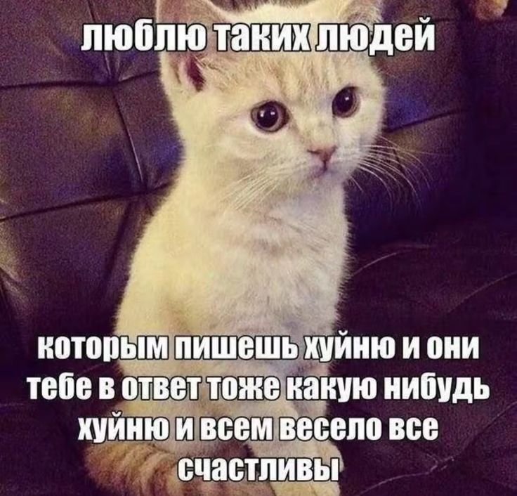 darkner81693's tweet photo. https://t.co/aorYKfspFu