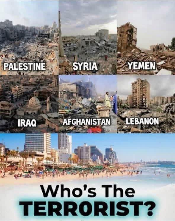 Nihilus_PR's tweet photo. @Jenniffer @IsraelinMiami @IsraelinUSA @israelenmiami @lafortalezadepr @gobiernodepr Pero nada, vamos a besarle el trasero a Israel, ¿no es así? https://t.co/zGY3LgDPS9