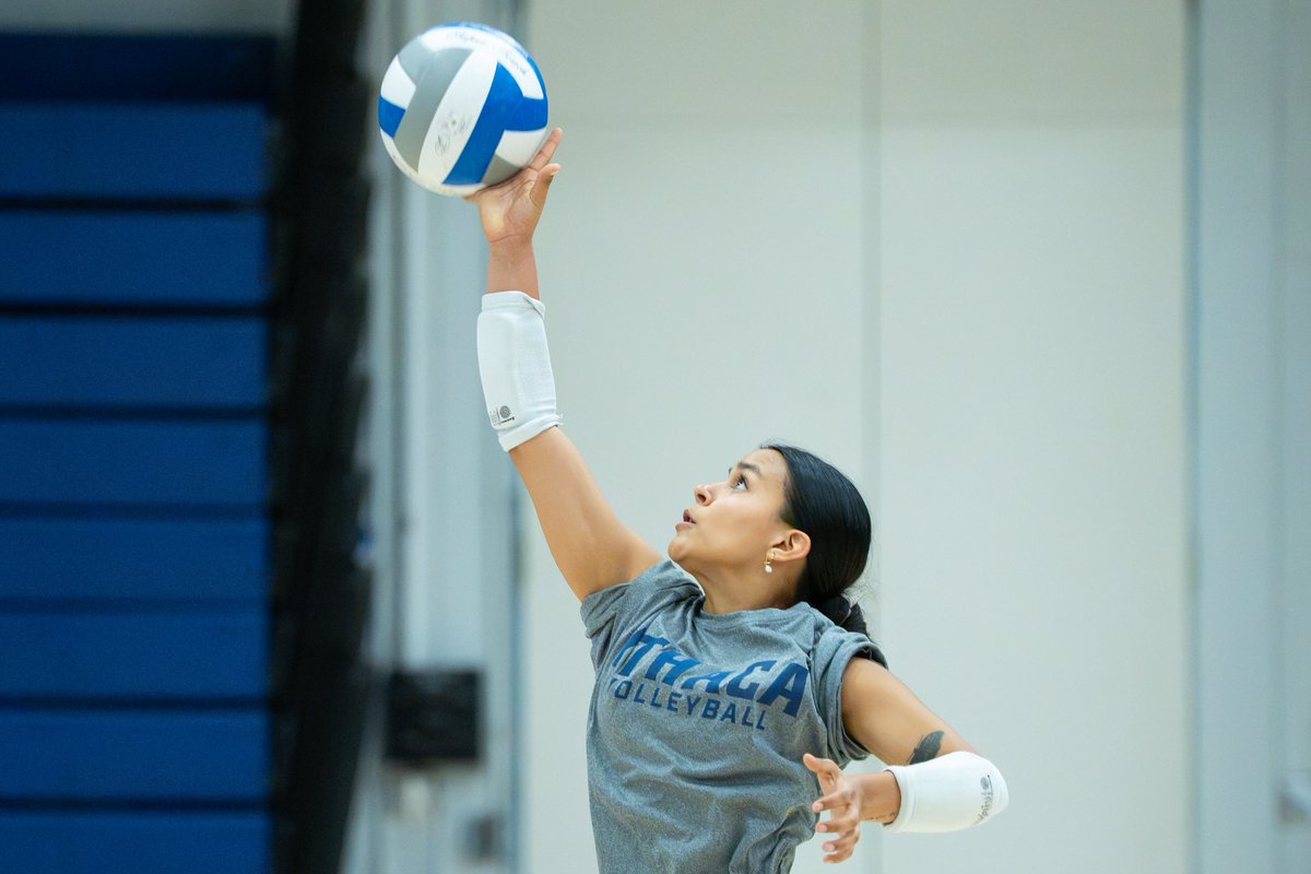 Firstteamphoto's tweet photo. My full gallery of images from Day 2⃣ practice with @IthacaVB 🏐
📷: https://t.co/xUfFLFt5cg
#GoBombers | #StriveForMore https://t.co/7Nvqibv75H