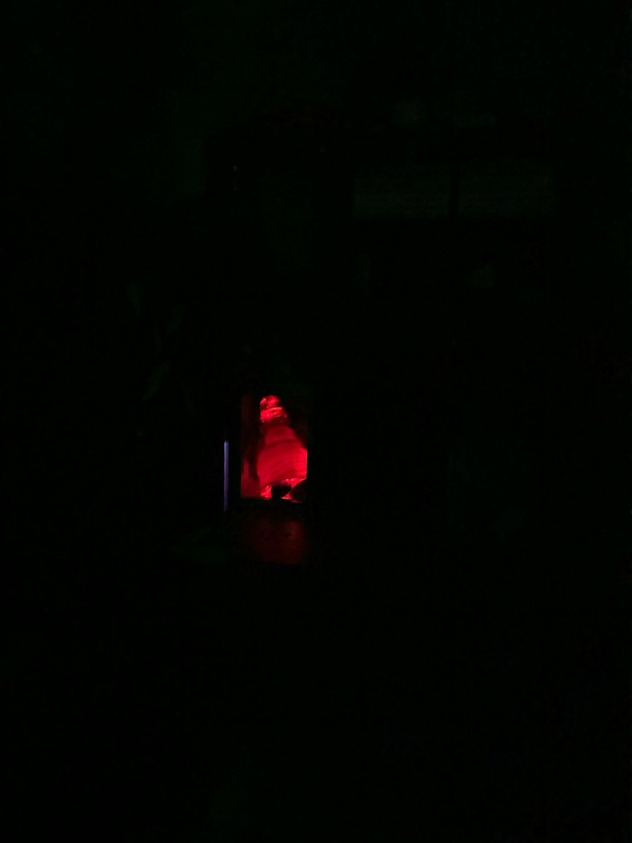 Abracksis's tweet photo. Just escaped the Haunted Cellar escape room with 2 mins left—no monsters, only chaos!  Who’s ready to beat my record， https://t.co/f89aY4HEis