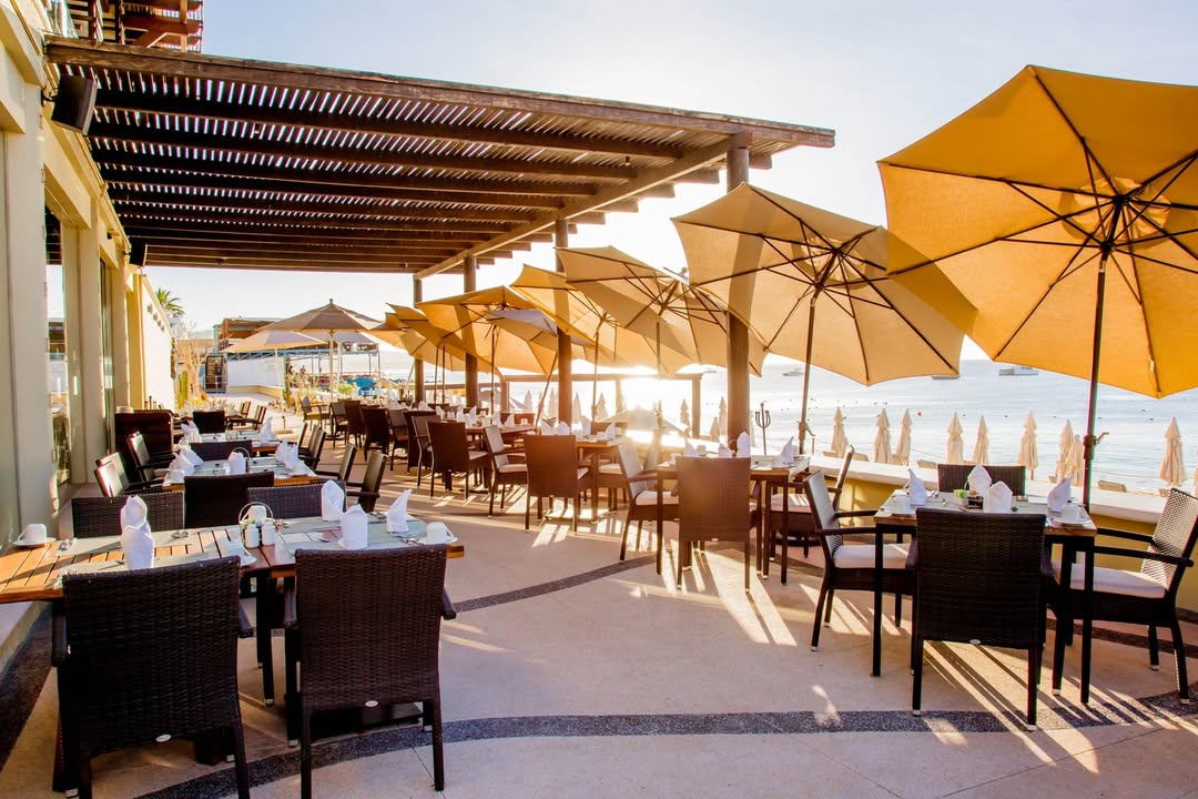 CasaDoradaCabo's tweet photo. Breathe in the ocean. Taste the moment.⛱

At Maydan, the ocean is your backdrop and time feels softer. Every bite is a gentle reminder to be right here, tasting the moment as it is.🌊✨
.
.
.
#maydan #beachclub #medanobeach #elrinconculinario #casadoradacabo #loscabos https://t.co/T5yL89AKur