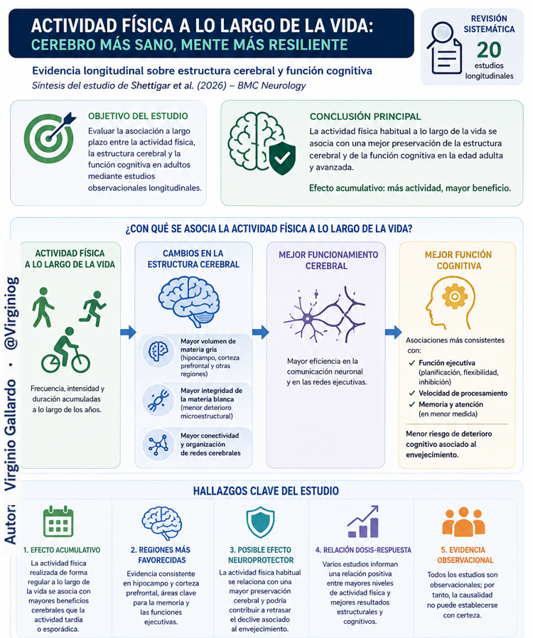 virginiog's tweet photo. l ejercicio, moverse hoy, es invertir en tu cerebro de mañana 

Mejora tu saud cerebral, funciones cognitivas y ejecutivas, memoria, prcesamiento, estado de ánimo y motivacional,... ahora y más tarde. Se más resiliente

Gran análisis (20 estudios logitudinales) de Shettigar 2026 https://t.co/1GFzrP6vHC