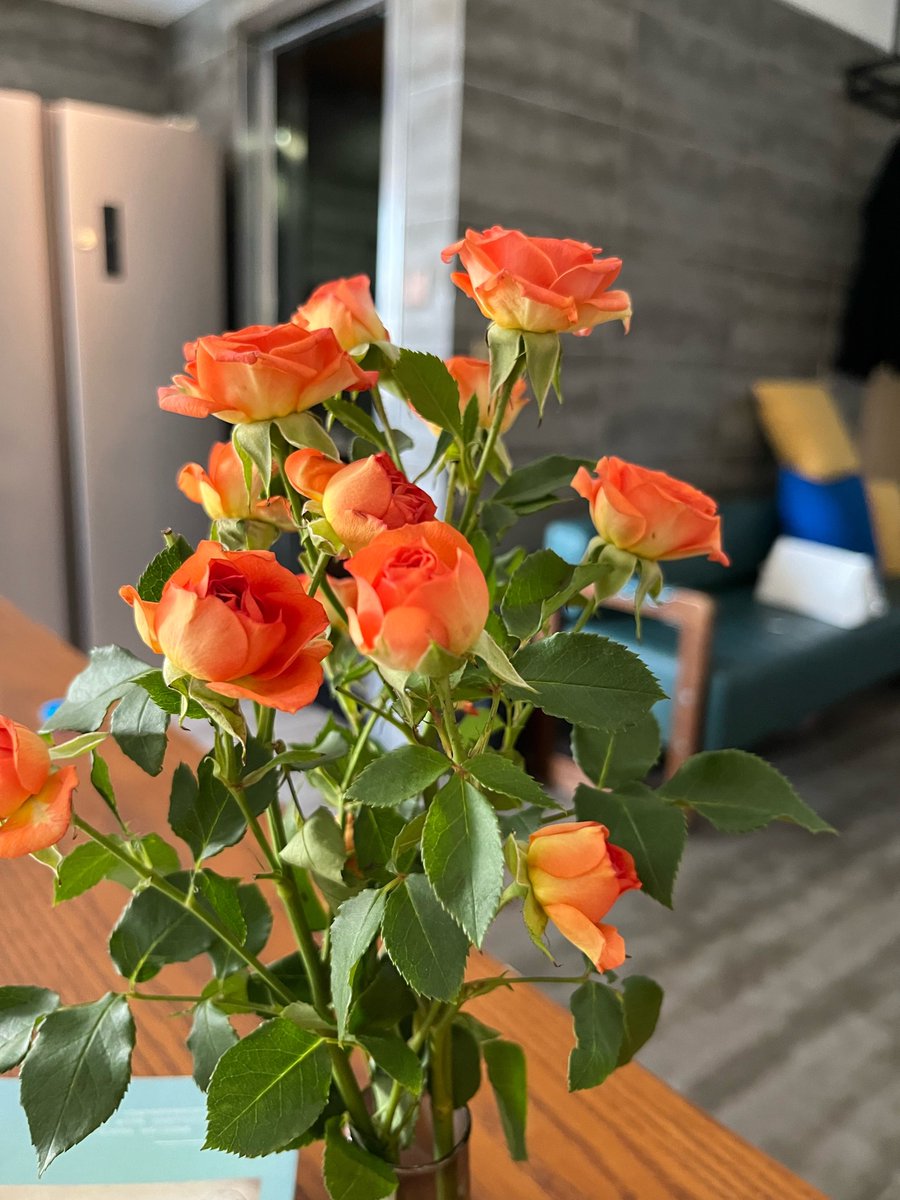 BoachieVera's tweet photo. Warmed my heart today! Neighbor Lily left homemade chocolate chip cookies on our porch with a sweet note saying “Baking’s more fun when shared.” Nothing beats cozy small-town vibes , https://t.co/3PcxTqQC79