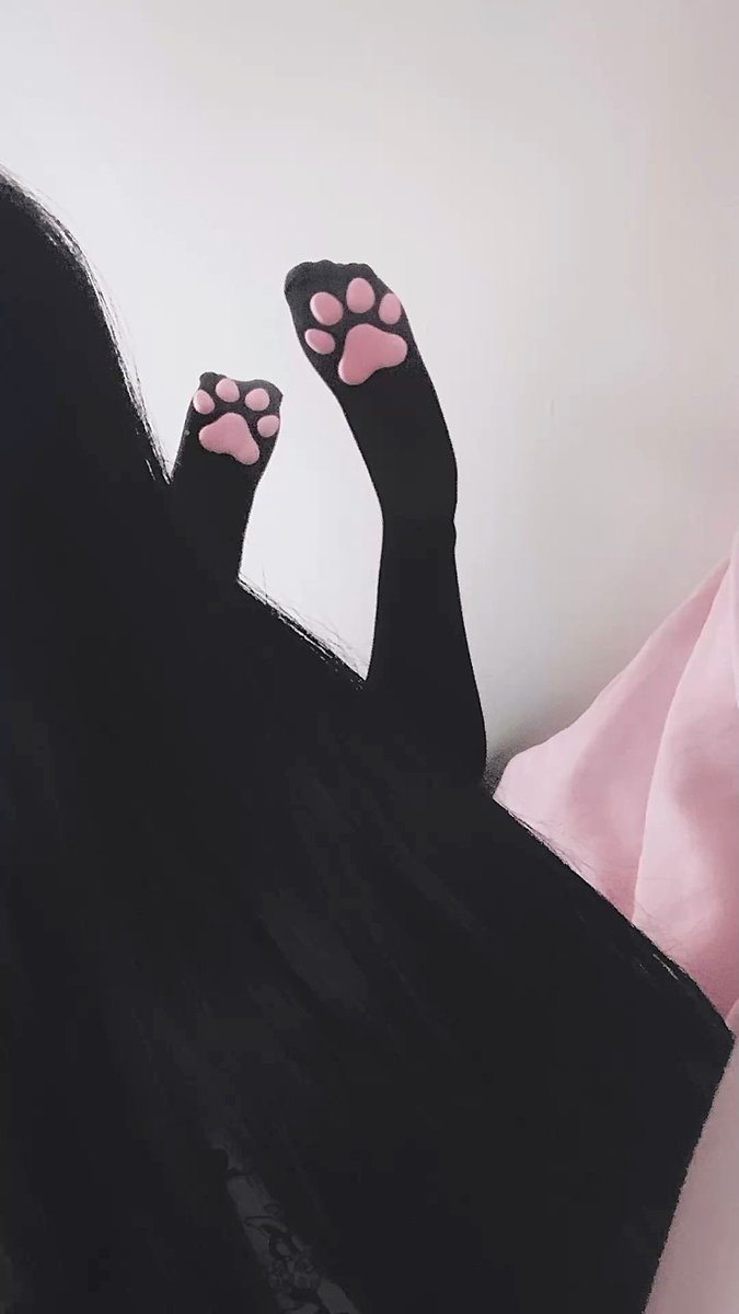 xofayepup's tweet photo. if you are seeing cute kitties on your tl they're all me. i am every kitty to ever exist, meow! (˵◝ ⩊  ◜˵マ https://t.co/xk6B1T6vEy