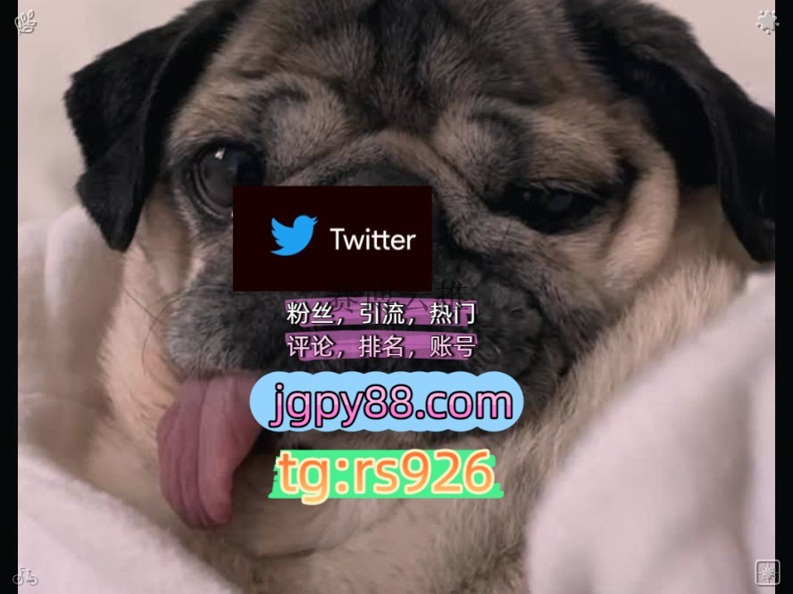 mhp____u's tweet photo. Keep being real and true always.
粉丝号海外���客🌺互推助手🎌数字货币🍁外😗facebook推特矩阵系统、Twitter矩阵系统、X矩阵系统
世界杯推特账号注册号���同
上热门评论截流🎉股票代码🌟辅助工具🔥品牌增长👍围585377推特账号
关键词霸屏🧳熱門🌈权重号🌟推特老号🍄定時發推💐南京代发拉萨   🎺客 https://t.co/QZn7bODuKD