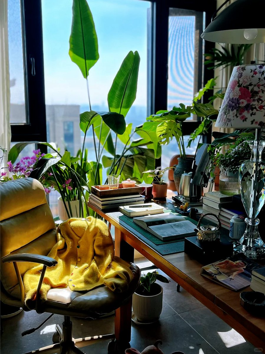 chee14142's tweet photo. My tiny balcony just turned into my go-to morning spot—sipping coffee with my little succulent garden feels like winning life’s small wins https://t.co/QXX3fjzixi