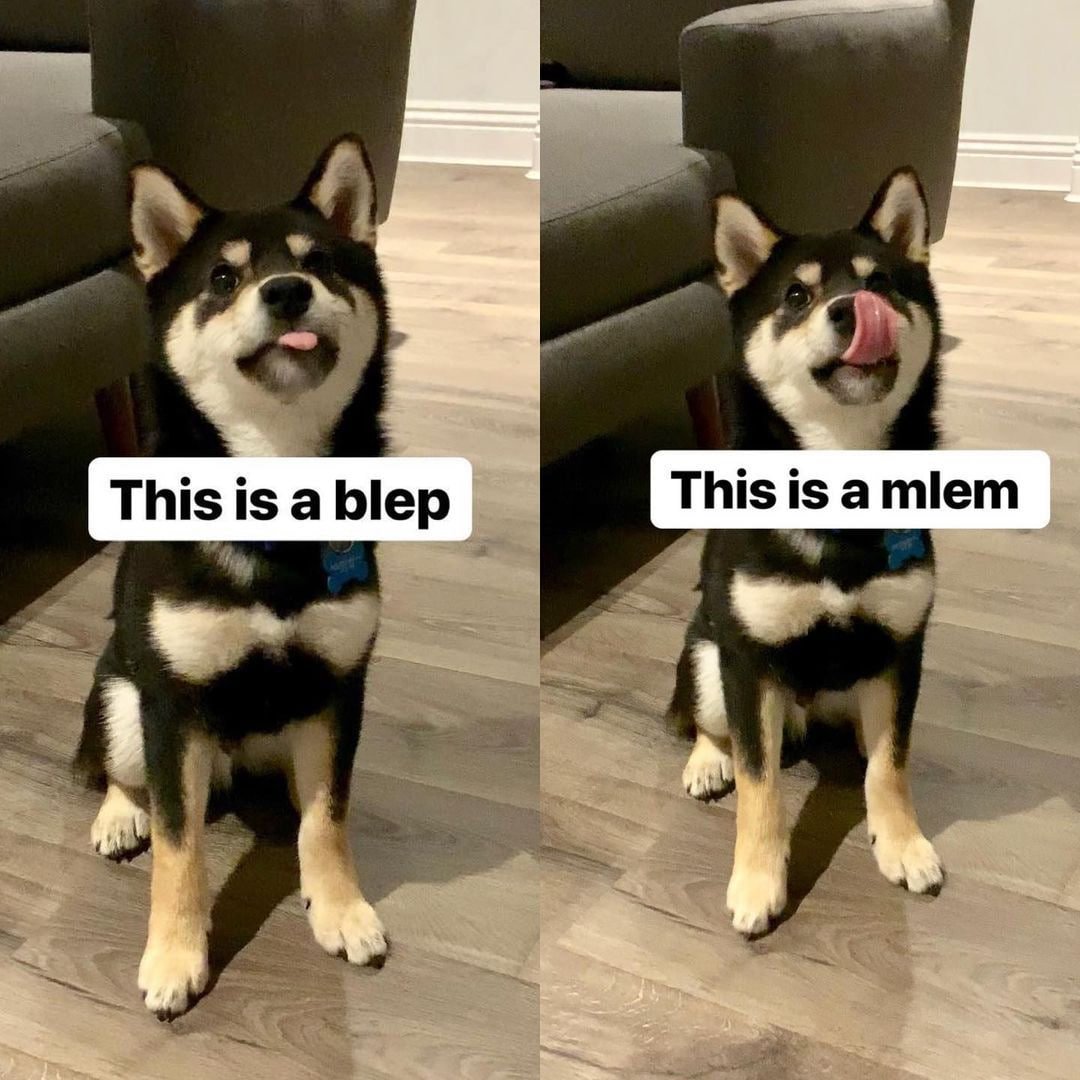 Mlem_pumpfun's tweet photo. $MLEM

4CiLPCuACsnm11pP7SqordPyH8mtL56z2vj8pD3Zpump https://t.co/2FG7g6ohTc