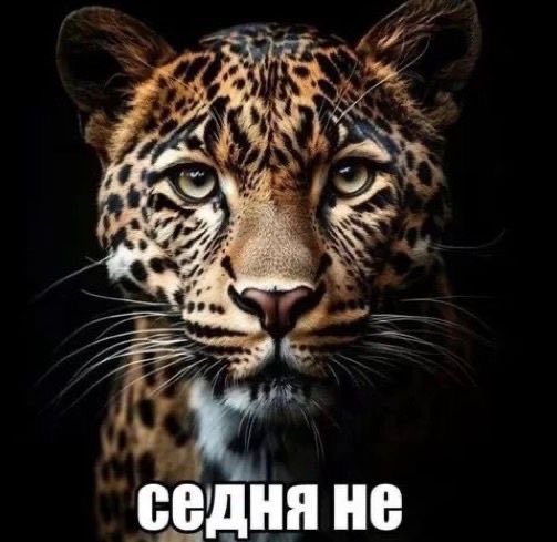 prodazny's tweet photo. когда вчера откладывала дело на сегодня и потом такая: https://t.co/sy78ALPIdH