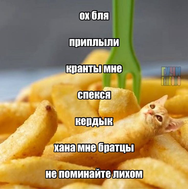 Motemerb's tweet photo. Хочу играть в геншин кажется мой мозг умирает https://t.co/83cppEig8R