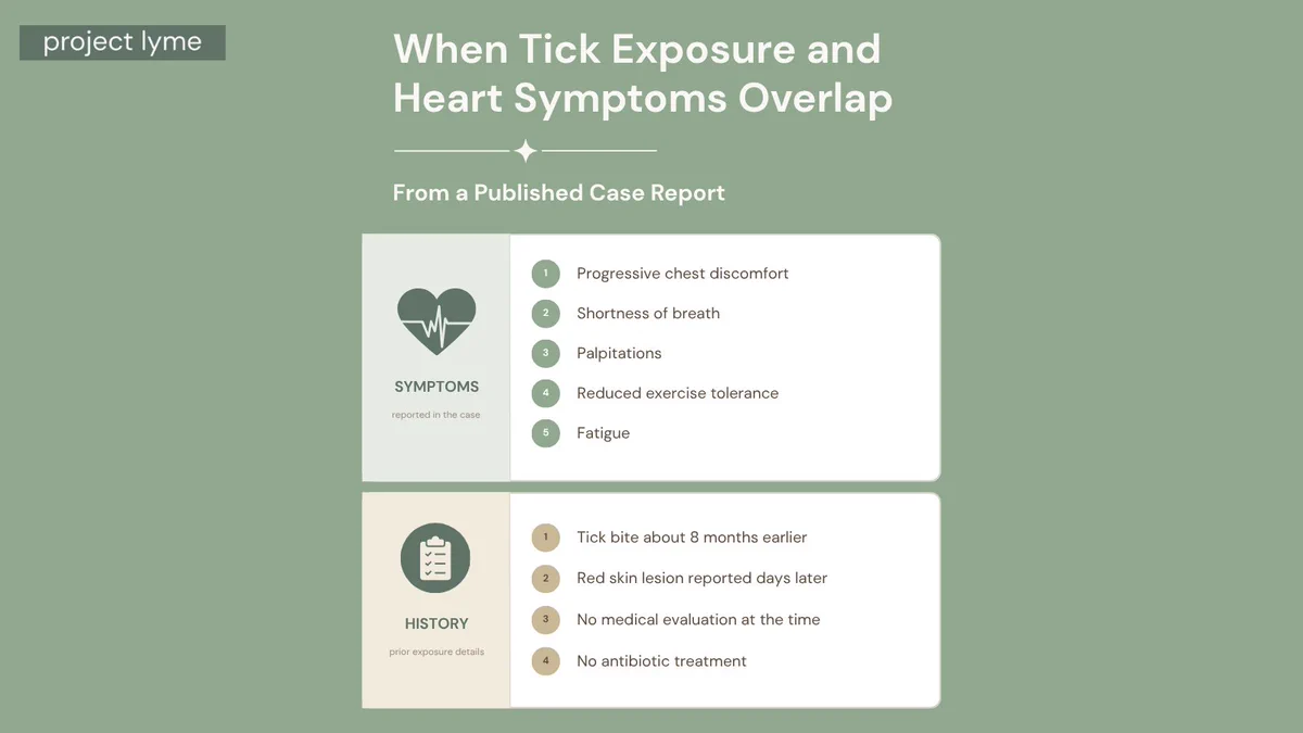 When Tick Exposure and Heart Symptoms Overlap