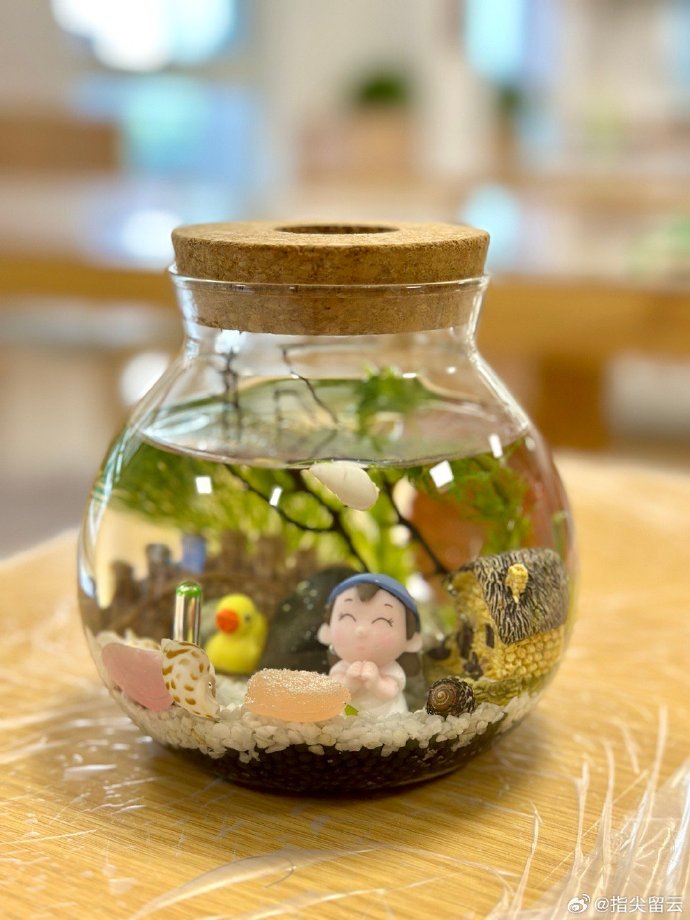 LeleStraus's tweet photo. Turn old mason jars into cute pen holders + plant pots! Quick and eco-friendly DIY https://t.co/h11hLPsZBp