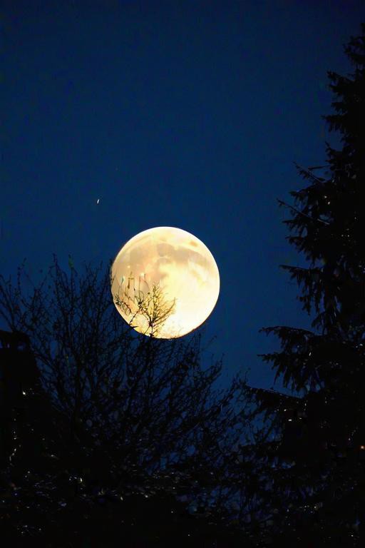 Esraa56108208's tweet photo. [Today’s full moon + Mid-Autumn vibes = warm wishes for you! May your night be bright, your mooncakes sweet, and your heart full of joy ]， https://t.co/GNg9gIa3aQ