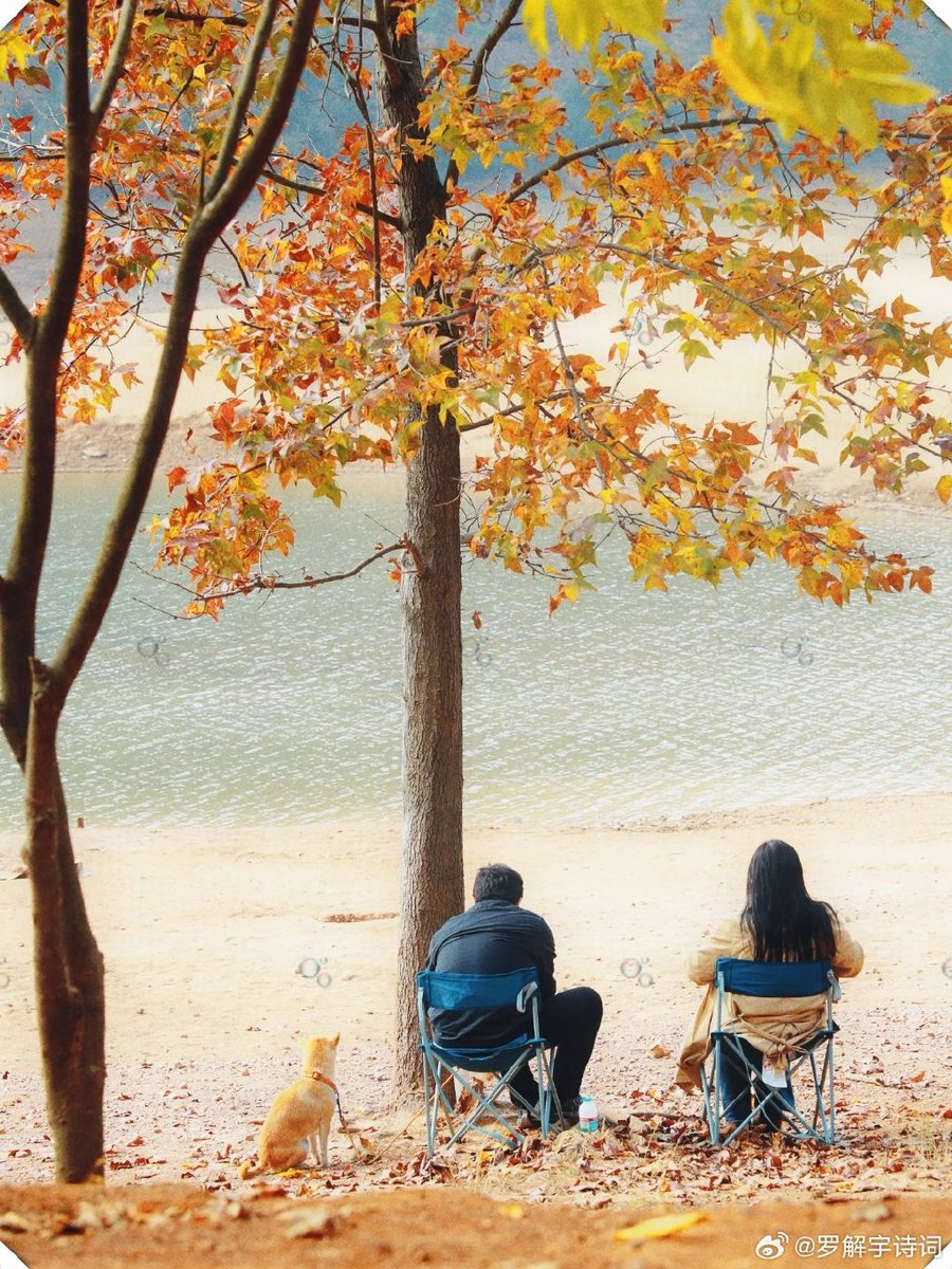 Wilson98056471's tweet photo. Cozy fall vibes! Crunchy leaves, warm coffee, and crisp air—can’t wait for apple picking this weekend https://t.co/b8SQoNNv3f