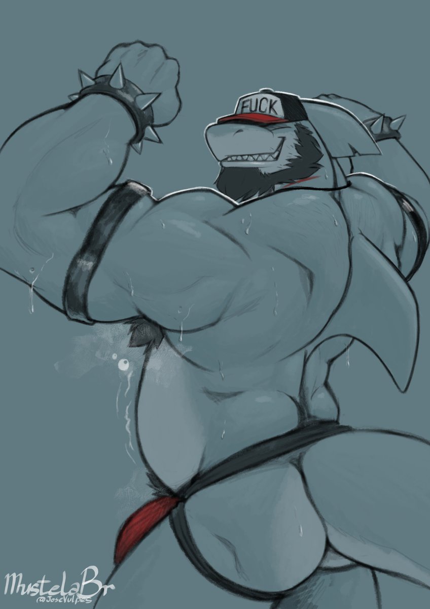 sharksharkmark's tweet photo. Late shark week gift / early birthday gift from my good friend @JoseVulpes  ❤️ https://t.co/pnp8W7Pv5A