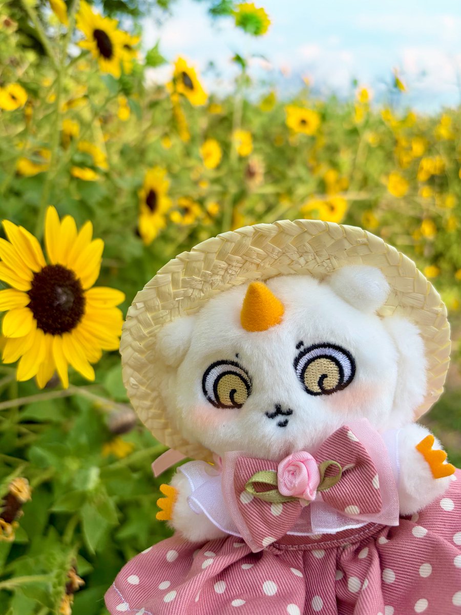 rurulen_'s tweet photo. 🌻 https://t.co/ZS25LekLII