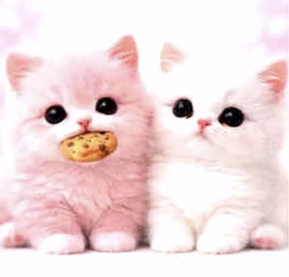 anXoii3's tweet photo. мяу ^ω^ https://t.co/5sfcfzoGUm