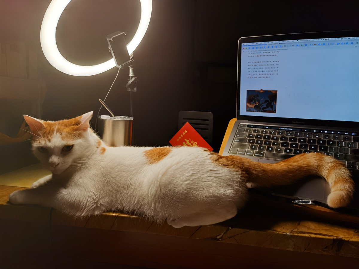 RayRegan15's tweet photo. Just realized my "meeting prep" notes are 90% cat pics and 10% actual meeting agenda  Work-life balance More like work-pet balance wins today! https://t.co/OZO5GKCDhM