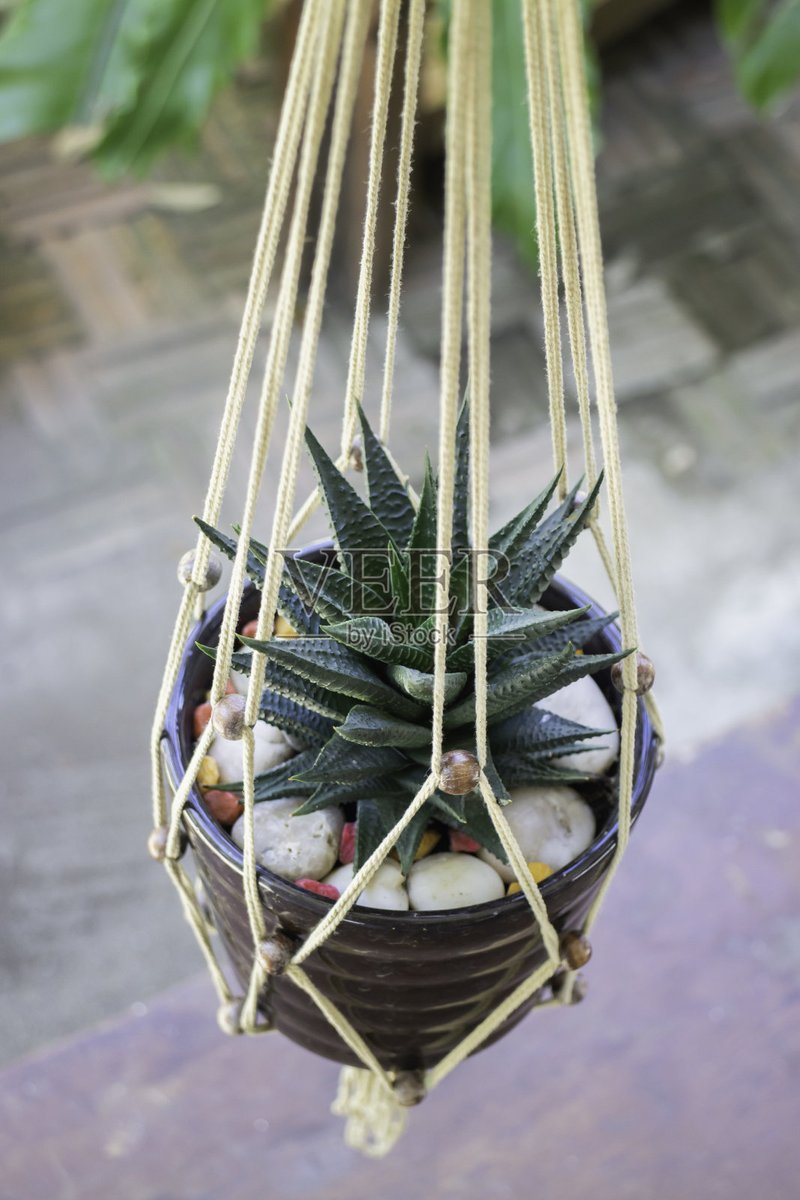 Hemanty74799665's tweet photo. Turn an old mason jar into a trendy hanging planter in 5 mins—add some twine and succulents, instant home cozy upgrade!， https://t.co/hj9mbPOVa2