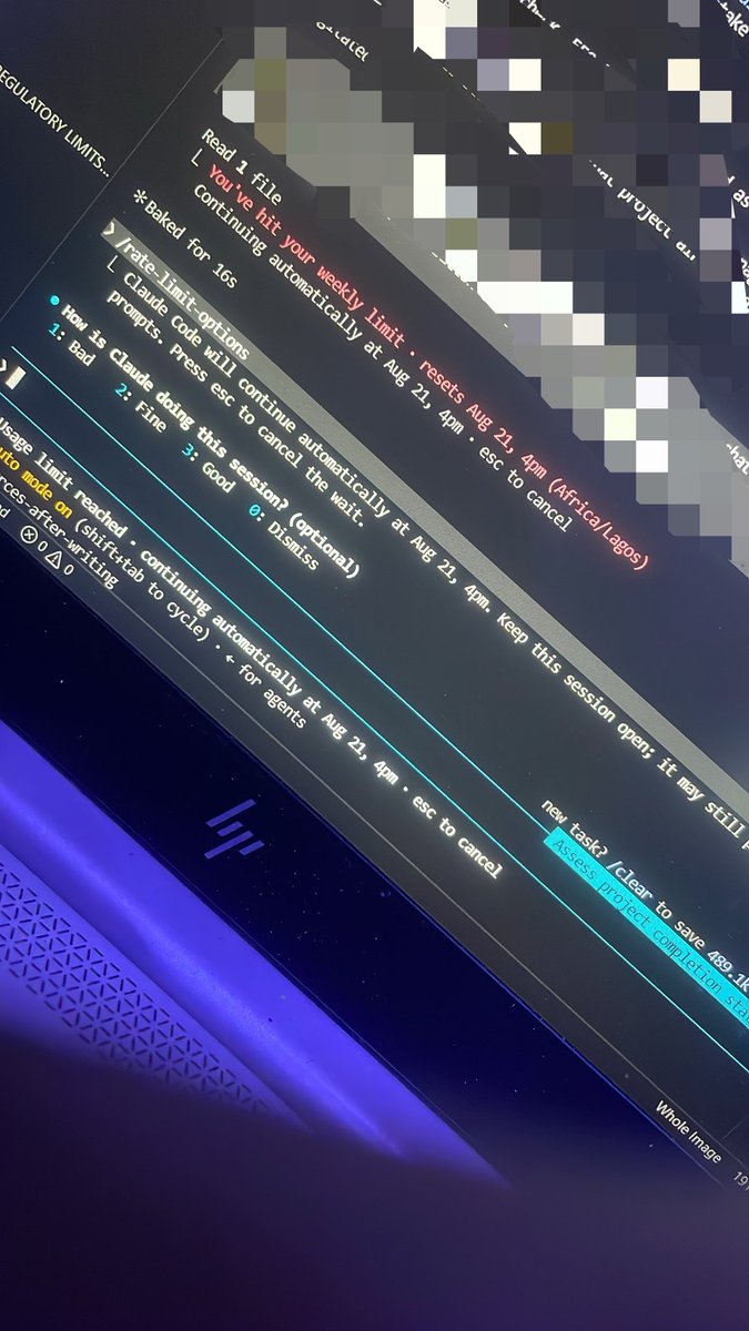 blamepowerr's tweet photo. @KoladeBuilds dash me some of your weekly limit🙂‍↔️ https://t.co/Y4Vg5cfH9K