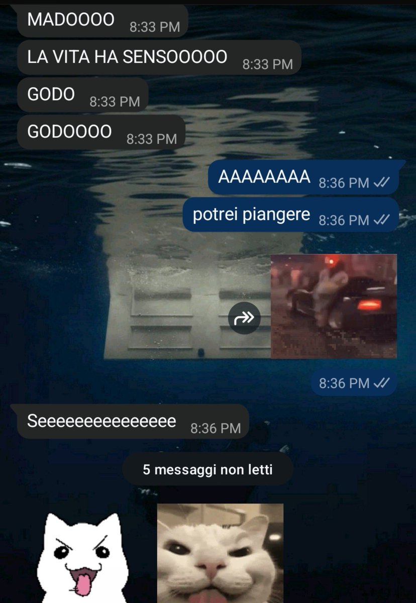 ynessa__'s tweet photo. pov hanno rinnovavo sterling point e allora tu e la tua ragazza we're just blessed lesbians https://t.co/YY3bTuN0tY