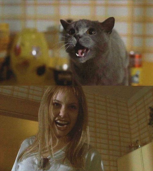 retrocvnty's tweet photo. Girl, Interrupted (1999) https://t.co/Yzb3KgT61Z