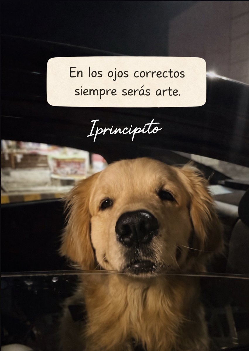 iPrincipito's tweet photo. ✨📩 https://t.co/hJRGJB87kD