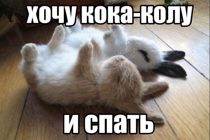 Motemerb's tweet photo. https://t.co/1RdWjFSi2E
