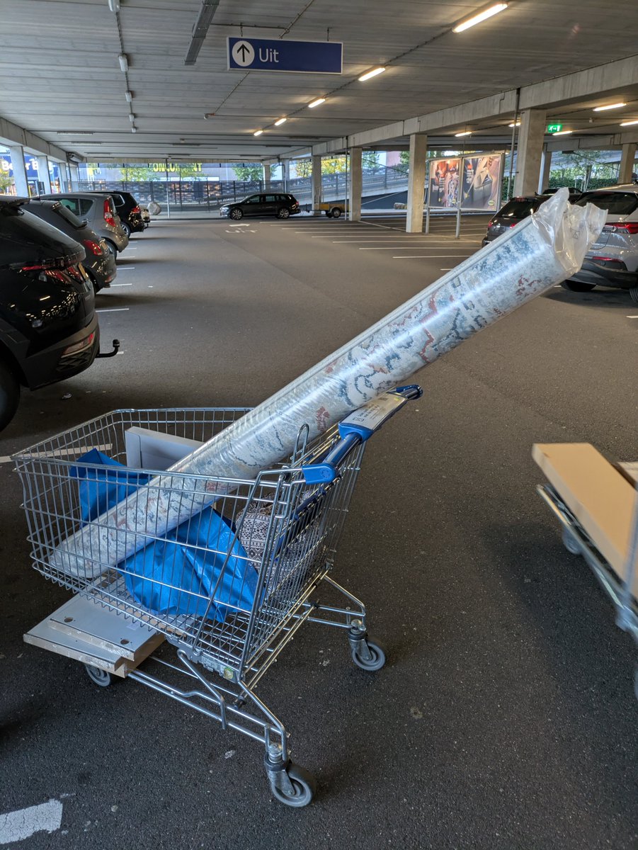ziekenverzorger's tweet photo. Mooi #vloerkleed gescoord voor in mijn woonkamer, bij de #ikea en nog wat inzet kastjes voor mijn #kallax kasten 🤗 Dat wordt morgen knutselen 🫣😜 https://t.co/yXW45q99id