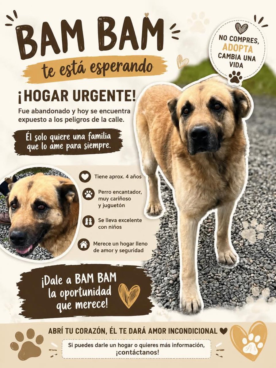 eltuitdemarsh's tweet photo. Bam Bam se encuentra abandonado en El guindo, cerca de la carretera con todo el riesgo que ello implica. Es muy dócil, amoroso y sociable con niños. Si puedes darle un hogar temporal o, idealmente, deseas adoptarlo, comunícate al +56948474959. Favor RT!
#RíoClaro 
#Cumpeo https://t.co/4kWVfBpyE5