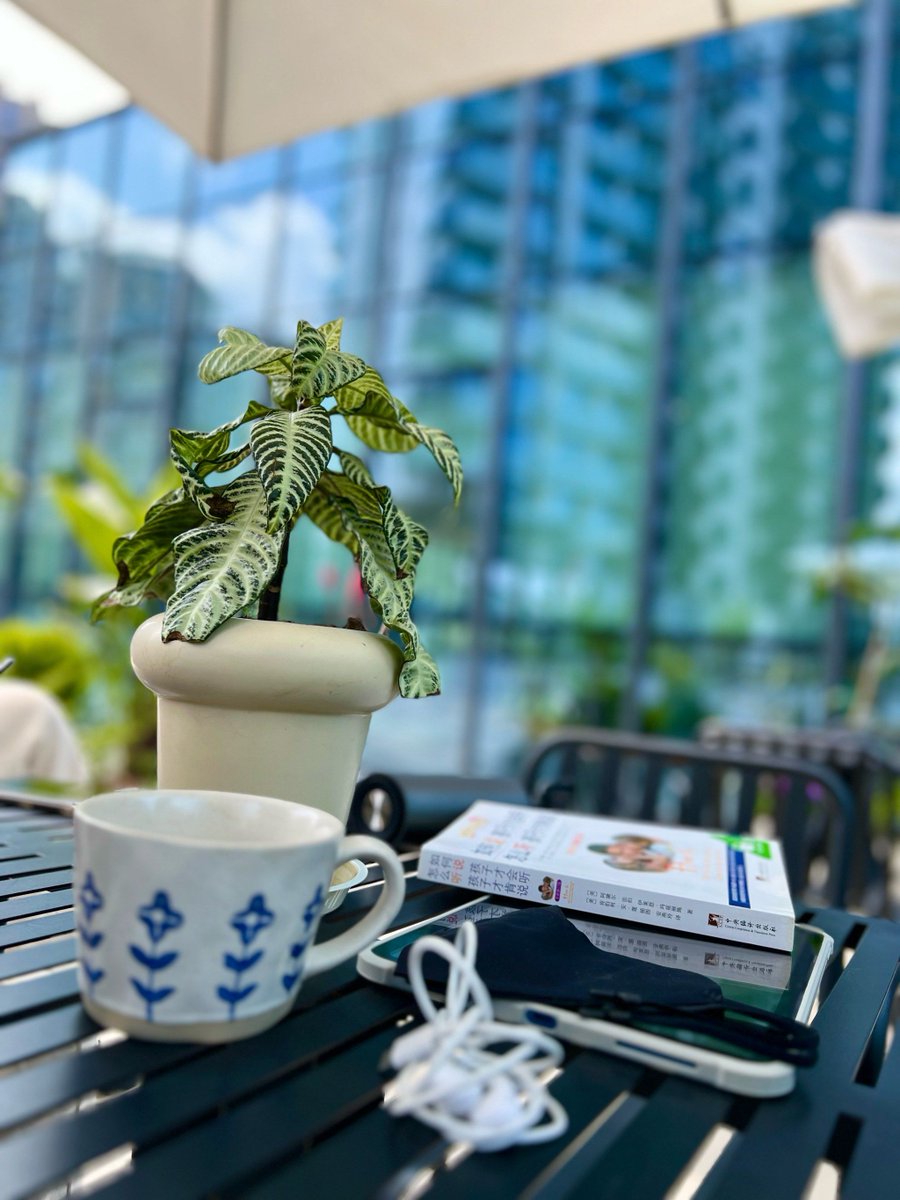IHSANAL95412444's tweet photo. My desk plant judging my 10th coffee refill of the afternoon. https://t.co/bywEhZwm1m