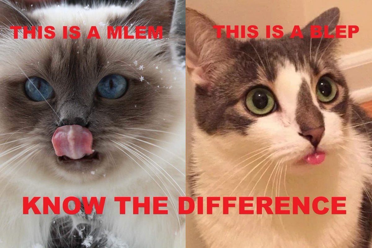Mlem_pumpfun's tweet photo. $MLEM for everyone 

4CiLPCuACsnm11pP7SqordPyH8mtL56z2vj8pD3Zpump https://t.co/M8BIjc57Kd