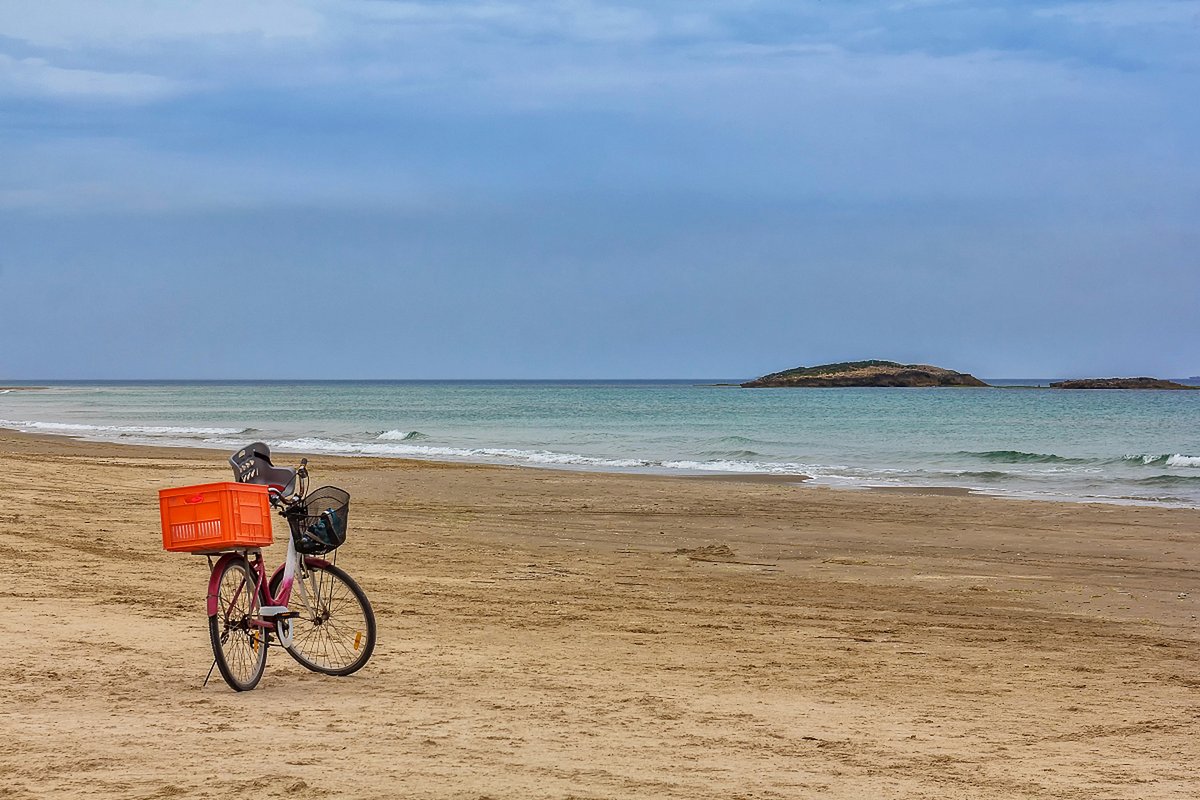 NoumanKhan862's tweet photo. Tried the sun-warmed coastal cycling trail today—salt air in my hair, views stretching for miles, no rush, just pure calm. This is the new vibe for my weekends!， https://t.co/UzVHv73SkN