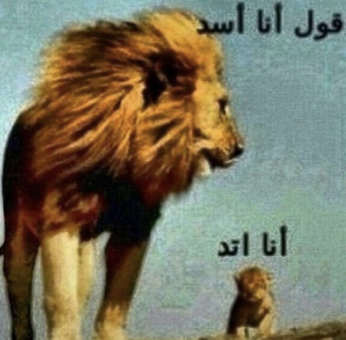 S_H_L_W_I's tweet photo. اودا يحاول يواكب فصول هنتر https://t.co/qjNBfs2ZBO