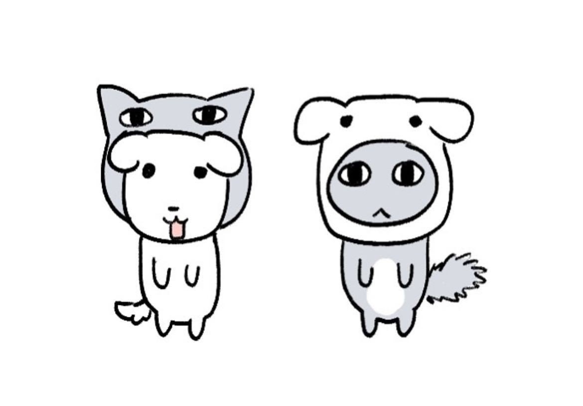 hwinangsiye's tweet photo. 쌍둥이개 https://t.co/zBsnMkmGCP
