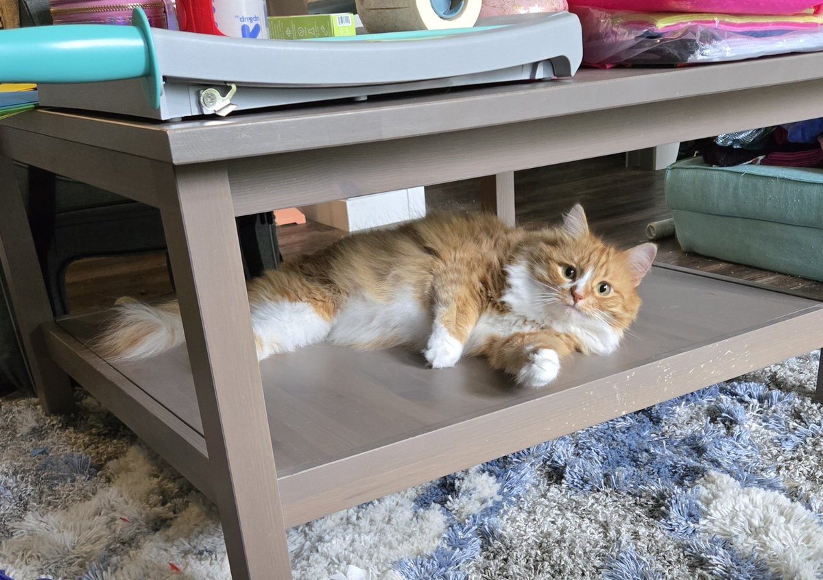 TriCopper's tweet photo. Cofie table Catte https://t.co/G5fyNAYOuS