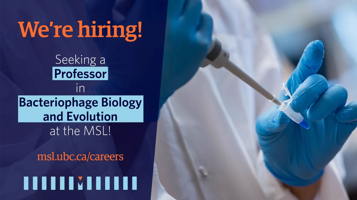Text on the screen reads: ‘We’re hiring! Seeking a professor in bacteriophage biology and evolution at the MSL!’. The website indicated for more information is msl.ubc.ca/careers. Also pictured is a close-up of a scientist holding a microtube with a blue liquid, and using a pipette to collect the liquid.