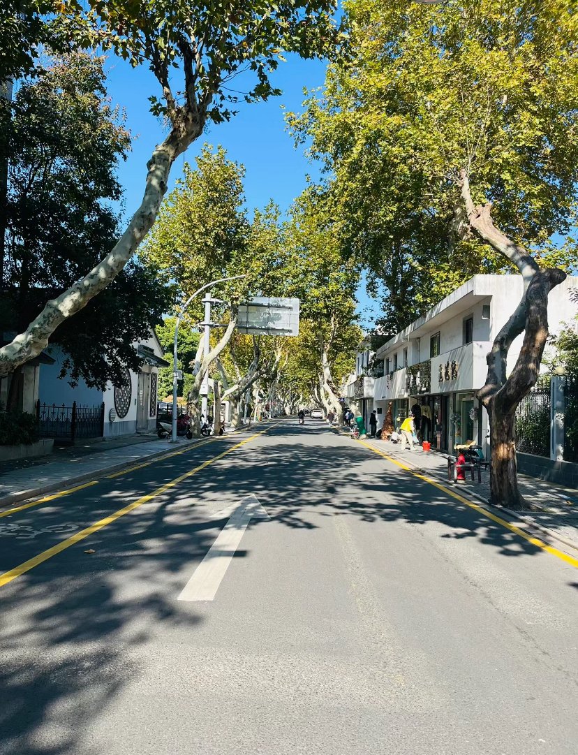 banditoneandtwo's tweet photo. Starting this week, I swapped my 30min commute by car for a 20min bike ride to work — saved gas money and feel way more awake before my first meeting https://t.co/eDg2Gkk6Fl