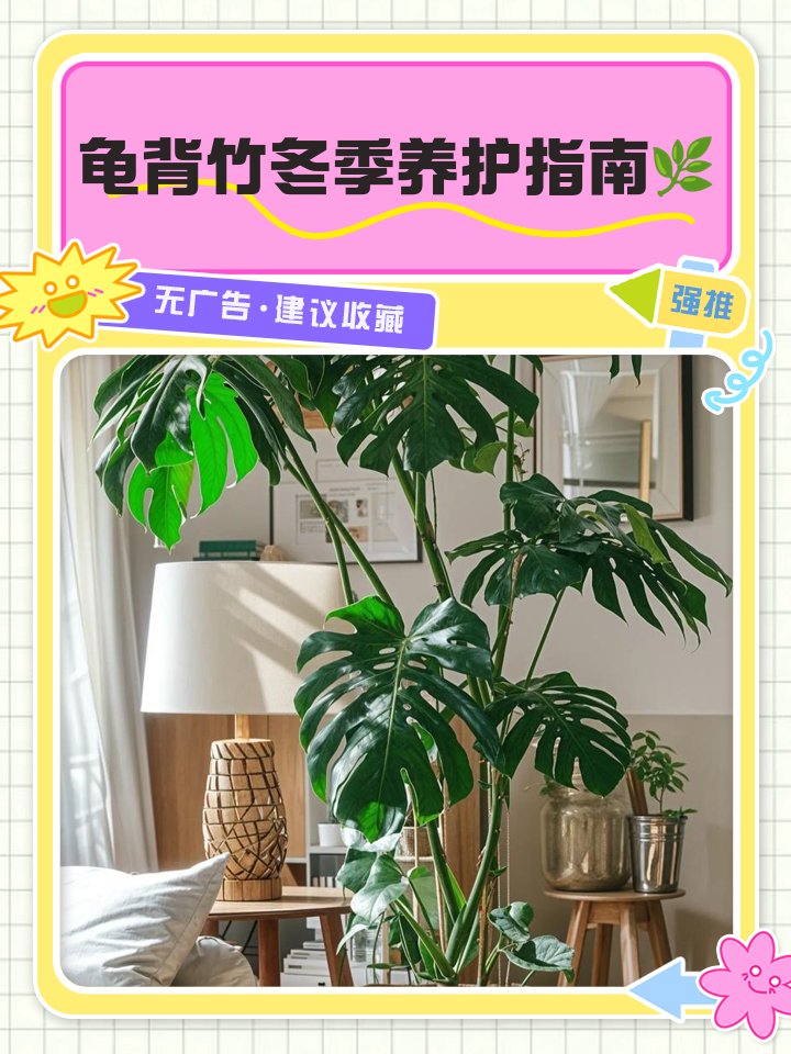SevimEr14's tweet photo. Weekend plant care tip: Dust your pothos leaves with a soft damp cloth to boost photosynthesis and keep them glossy! ， https://t.co/yAPfUgh6qh