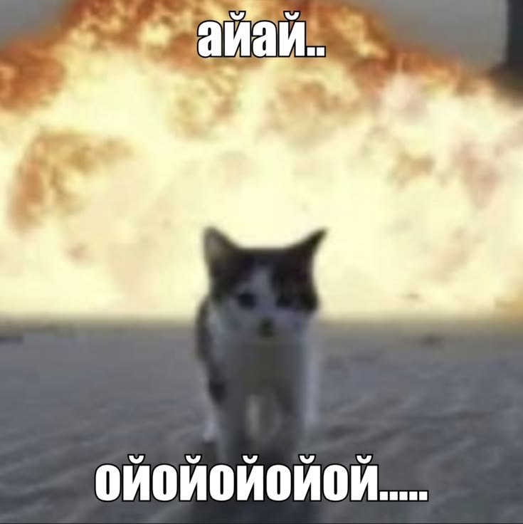 nell_coer's tweet photo. кажется я не знаю чд

Мальчик принял мою заявку в друзья спустя неделю френдзоны💔💔
подруги за это время успели передумать насчет него, да кабута и я тоже.
девочкиии кд чд, нужно ваще мнение https://t.co/3m7GeDNDaK