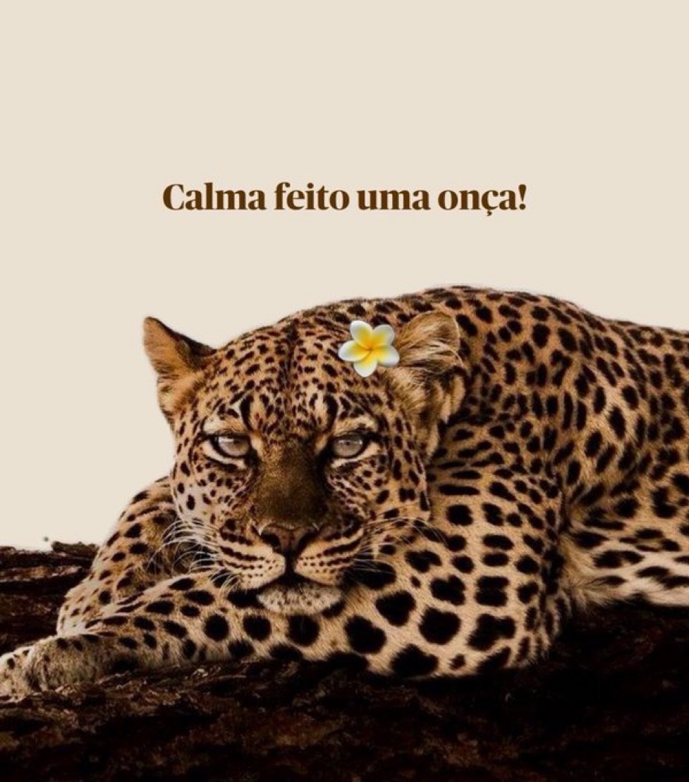 soulembrancas's tweet photo. https://t.co/bfkKNR0Ymn