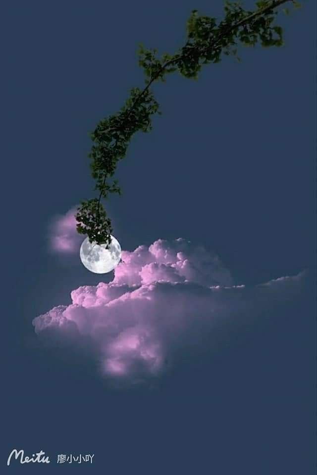 SairaaliMM's tweet photo. Have a restful night https://t.co/cVNbBFpiQR